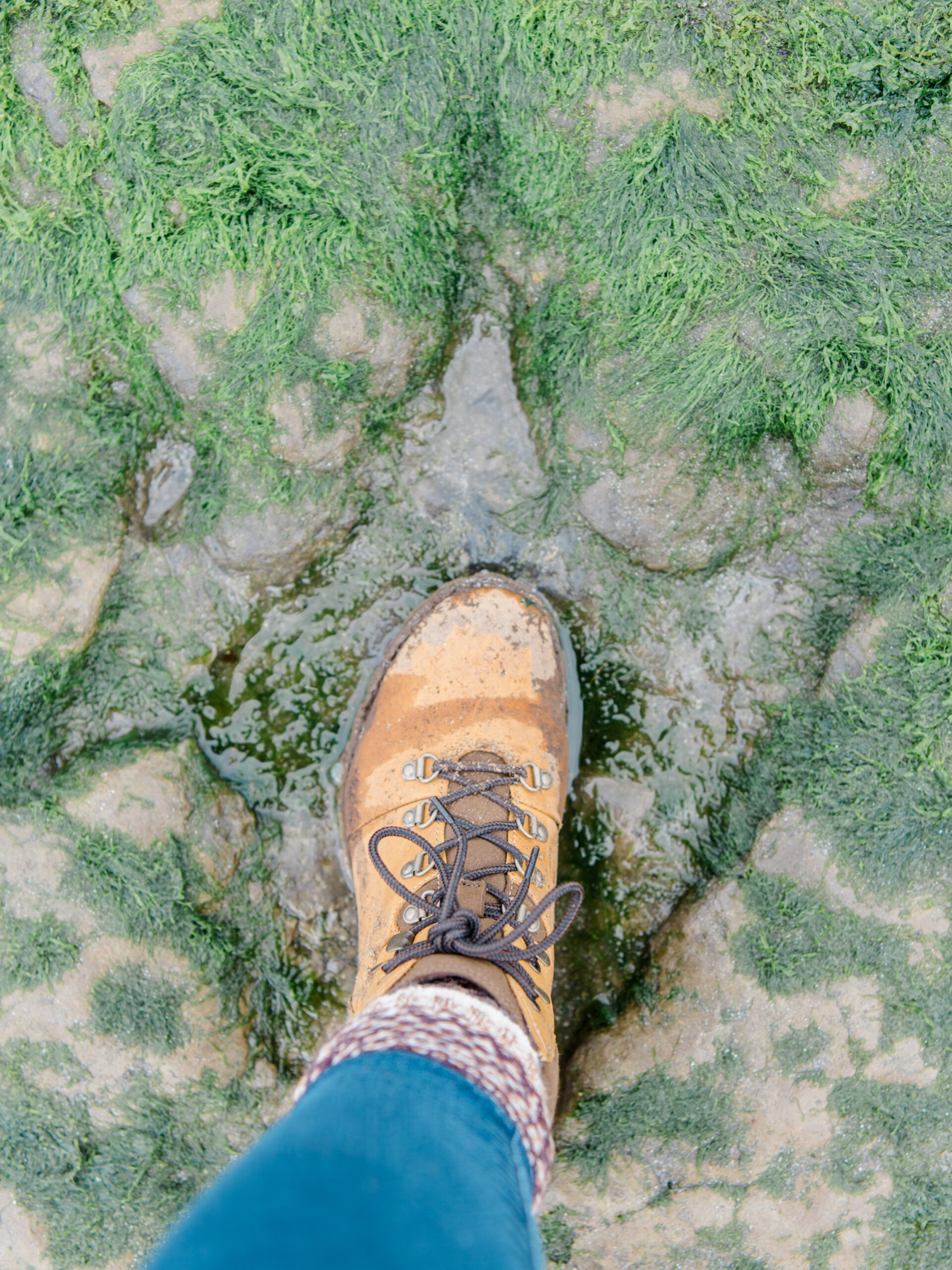 Dinosaur footprint, my foot for scale.