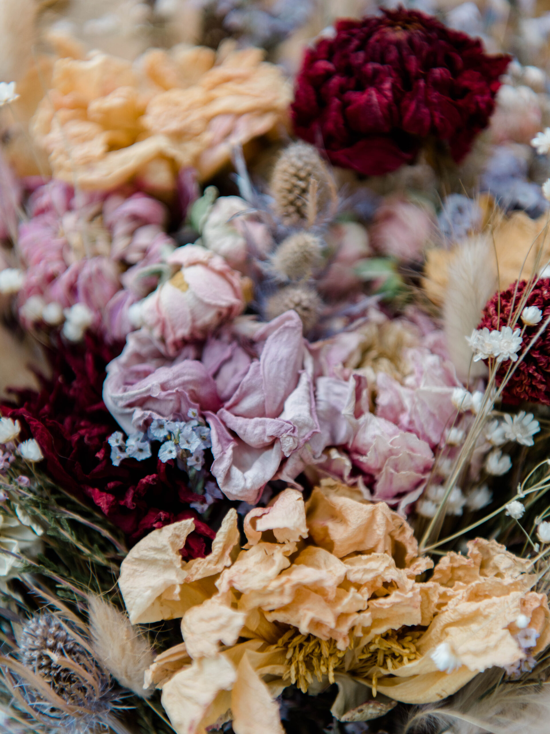 Dried bouquet.